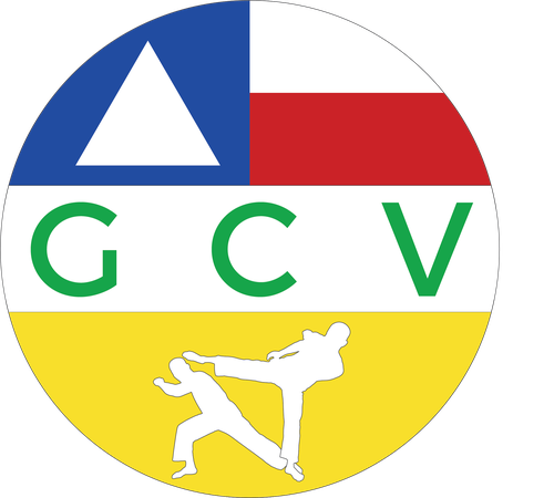 Grupo Capoeira Viola e.V.