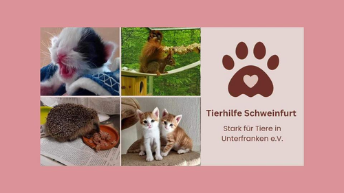 Tierhilfe Schweinfurt - Stark für Tiere in Unterfranken e.V.