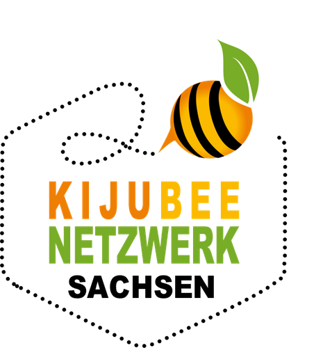 KiJuBee Netzwerk Sachsen