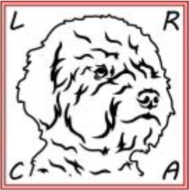 Lagotto Romagnolo Club Austria