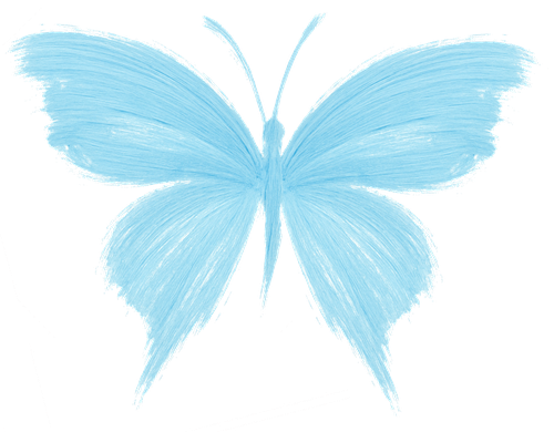 EntfaltungsRaum e.V.